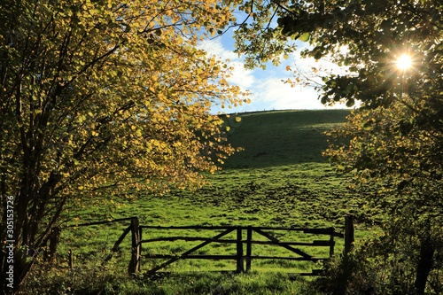 rural autumn background with fence and green hills
