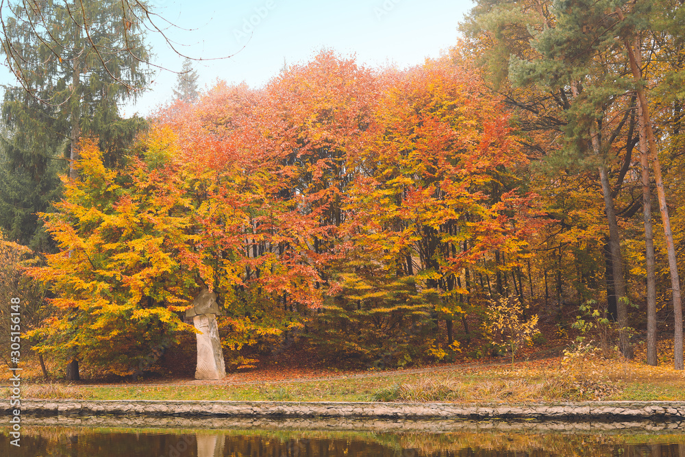 Obraz premium View of beautiful autumn park with pond