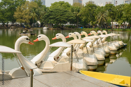 Pedal boat duck many