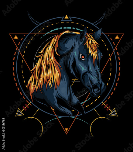 vector horse . head horse illustration with ornament background