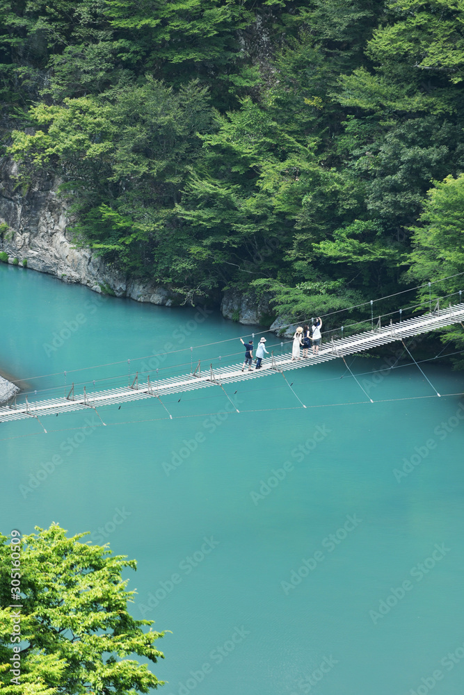 Fototapeta premium 寸又峡の夢の吊り橋