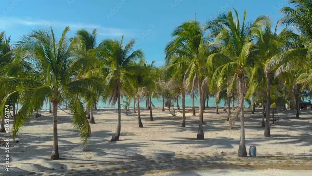 4K Aerial view of palm trees line up along the white sand coast and endless turquoise water in onok island in Balabac Palawan Philippines. Tropical island with palm tree forest and white sand.	