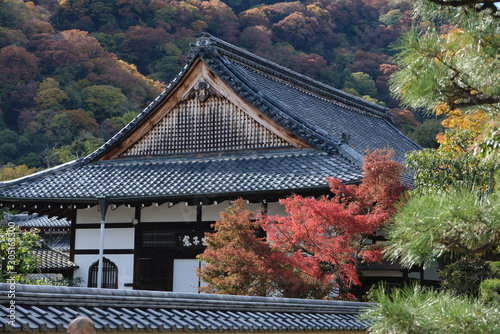 temple in japan