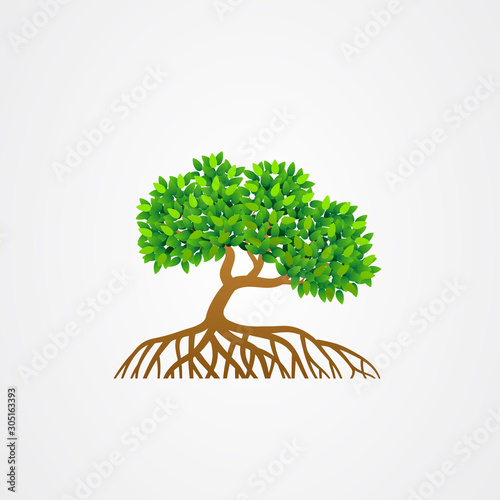 Mangrove tree with roots and green leaves vector illustration. photo