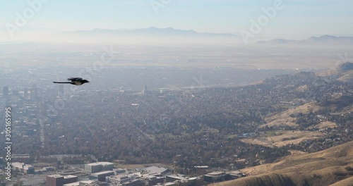 Pan to the left of a telephoto view of downtown Salt Lake City with a bird flying through the center frame