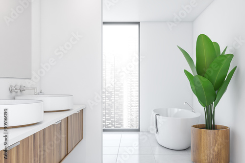 White modern bathroom interior with plant