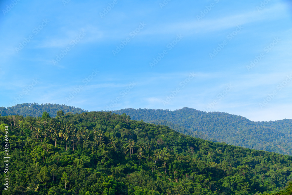 tropical rain forest at khao luang with blue sky, Kiriwong village,