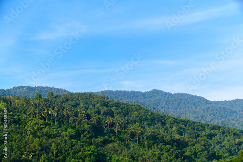 tropical rain forest at khao luang with blue sky, Kiriwong village,