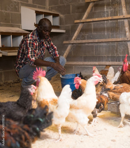 Man farmer with bucket feeding chickens at chicken-house