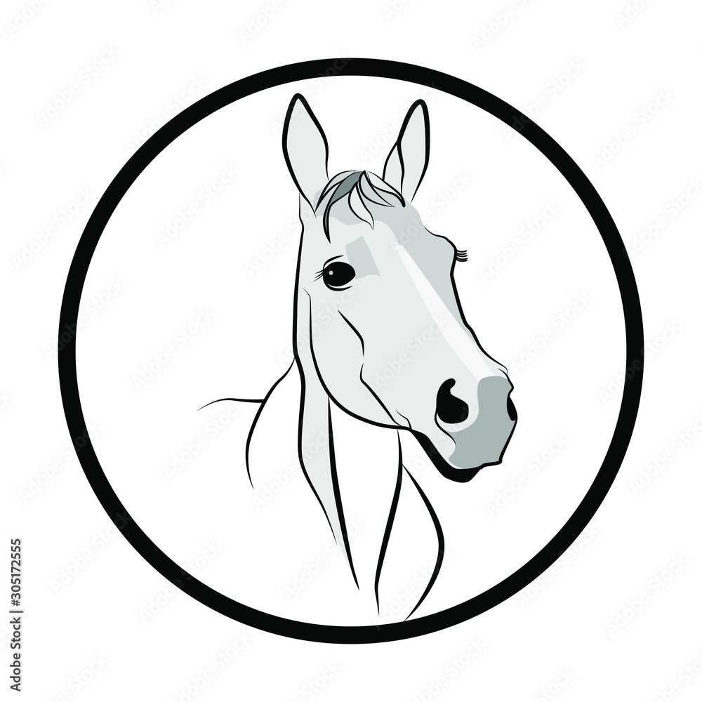 Horse figure in dark lines. Horse head on a white background. Muzzle of a white horse in half a turn.