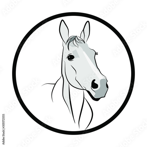 Fototapeta Naklejka Na Ścianę i Meble -  Horse figure in dark lines. Horse head on a white background. Muzzle of a white horse in half a turn.