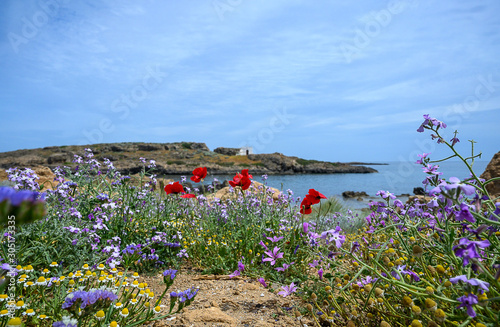 Skyros island Greece