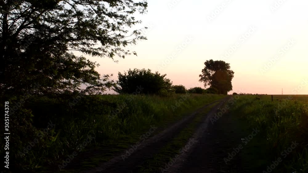 Sunset view of a rural road leading to a distant grove. A car moves right to left in a distant route.