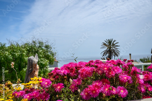 Skyros island Greece