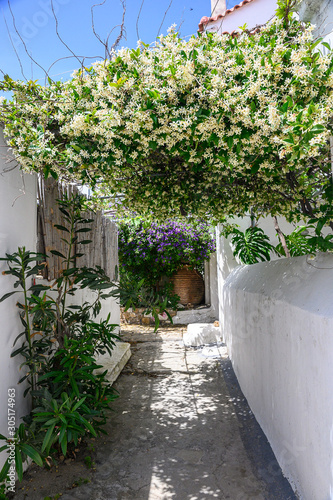 Skyros island Greece