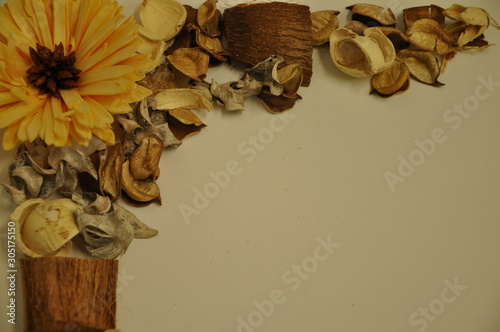 Fall decoration frame of dried diy on white background
