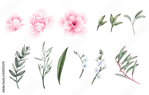 Fototapeta Naklejka Na Ścianę i Meble -  Peonies and leaves. Flowers can be used as greeting card, invitation card for wedding, birthday and other holiday and  summer background. Watercolor illustration