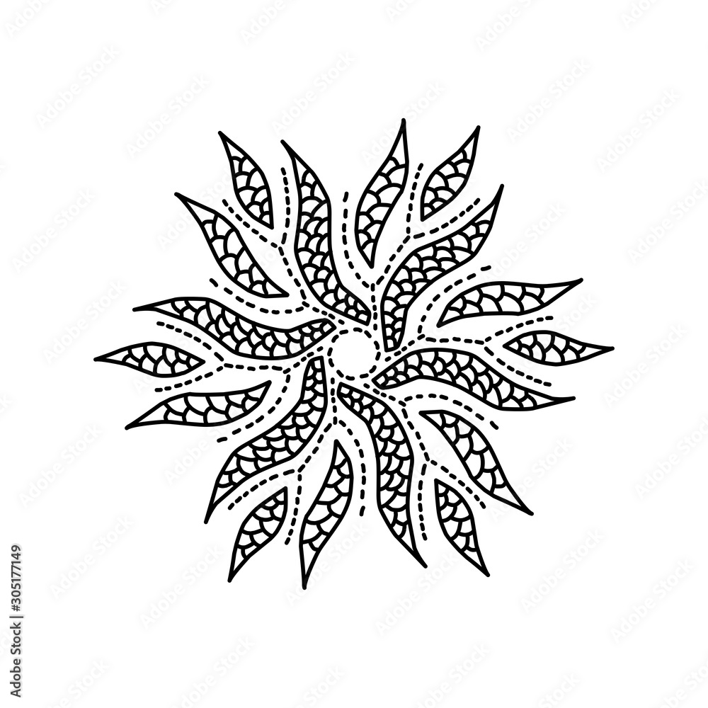 flower on white background flower on white background