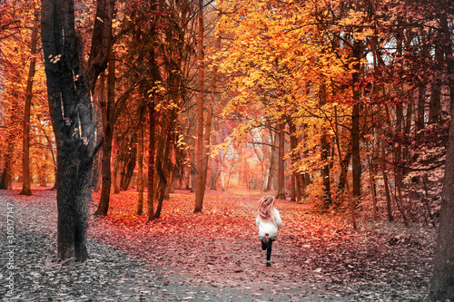 Girl runs into the colored side of life, in the colorful autumn forest 