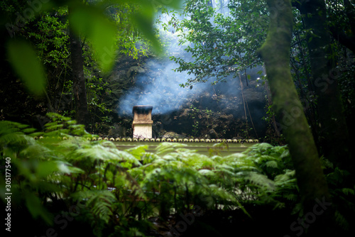 Hidden cabin in deep forest photo