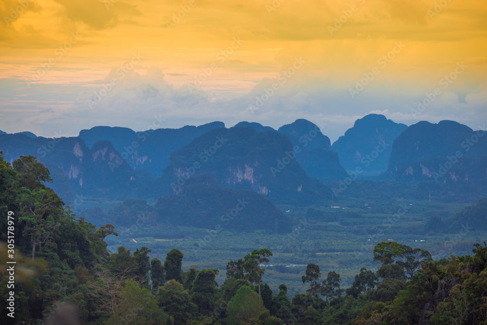 Close-up wallpaper view of high angle mountains, atmosphere surrounded by trees, blurred wind and fresh cool air during the day Close-up wallpaper view of high angle mountains, atmosphere surrounded by trees, blurred wind and fresh cool air during the day