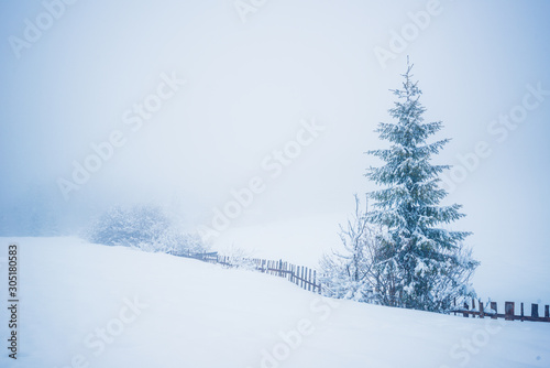 Bewitching winter picturesque landscape