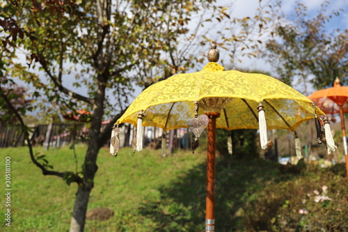 indian umbrella in the garden © Marco Antonio