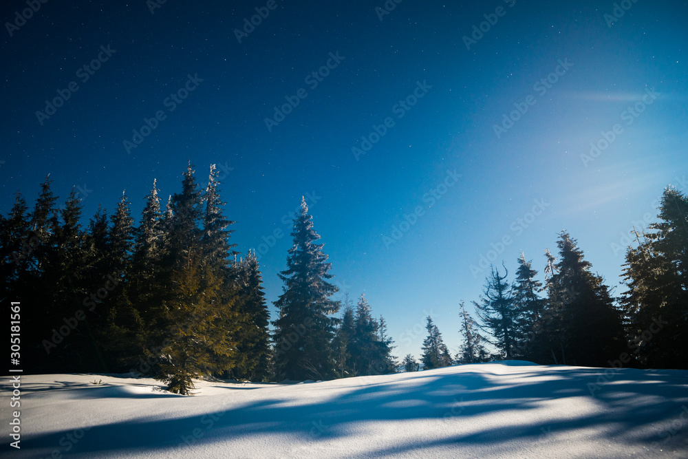 Bewitching magical landscape of snowy tall fir Bewitching magical landscape of snowy tall fir