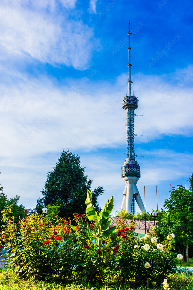 Obraz premium Tashkent Television Tower, Uzbekistan
