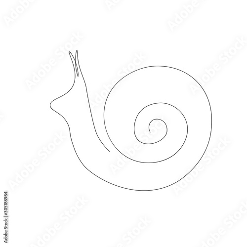Snail continuous line drawing, vector illustration