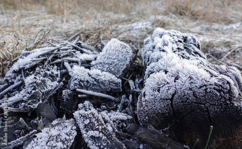 Burnt logs of an old bonfire covered with hoarfrost and ice crystals. Beautiful abstract background.