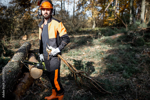 Portrait of a professional lumberjack in protective workwear carrying tree branches while logging in the pine forest