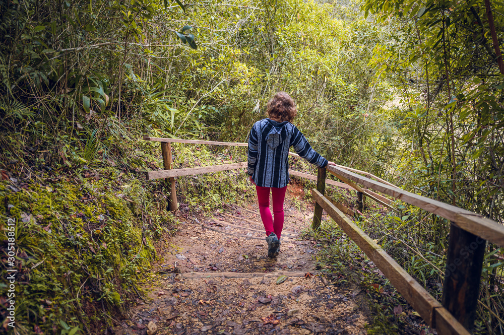 Obraz premium Young blonde woman walking on a path in the middle of the jungle