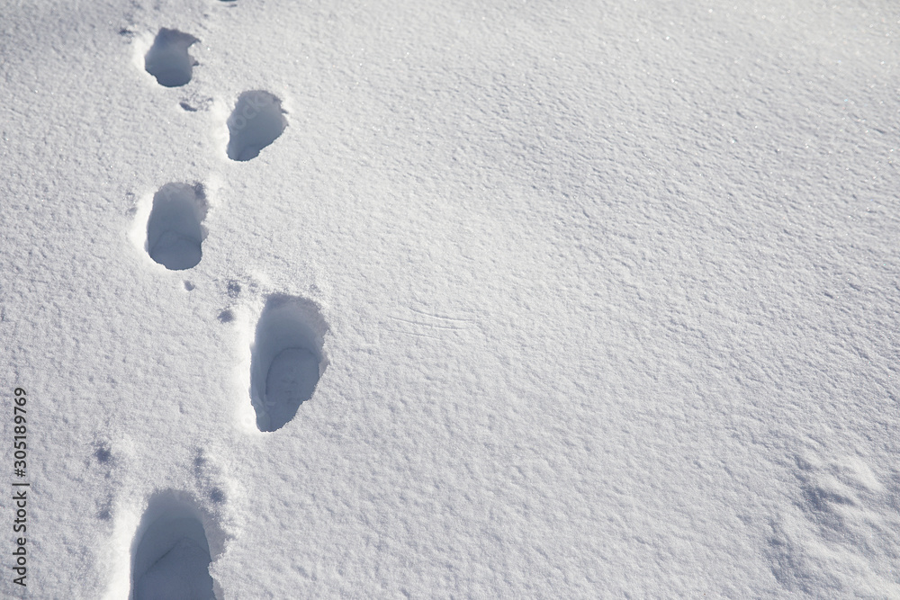 The texture of the snow. Winter rainfall. Tracks on a snowy road after a snowfall. The texture of the snow. Winter rainfall. Tracks on a snowy road after a snowfall.