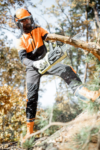 Lumberman in protective workwear sawing with a chainsaw branches from a tree trunk in the forest. Concept of a professional logging