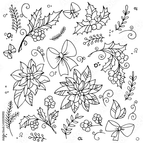Traditional xmas decoration holly and poinsettia. Hand drawn design elements.
