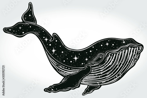 Beautiful hand-drawn artwork of whale . Tattoo art, graphic, t-shirt design, postcard, poster design, coloring books,spirituality. Vector illustration.