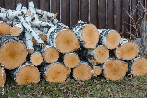 logging. chopping wood. a bunch of birch branches. birch firewood for the winter.