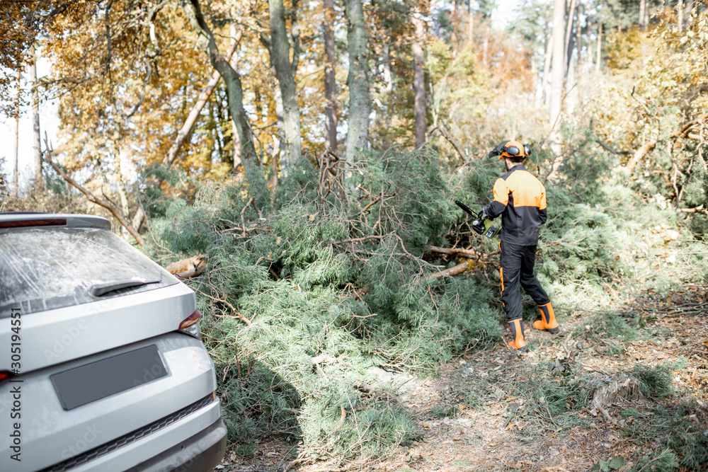 Professional lumberman in protective clothes making woods logging with chainsaw, standing near his SUV car in the forest