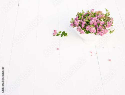 Fototapeta Naklejka Na Ścianę i Meble -  Pink flowers. Bouquet of Spiraea japonica flowers. Greeting for Birthday or Holiday. Copy space 