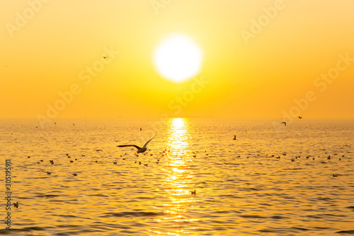Sunset or evening time with golden sky at sea or ocean with seagull bird flying at Bang poo  Samutprakan  Thailand.