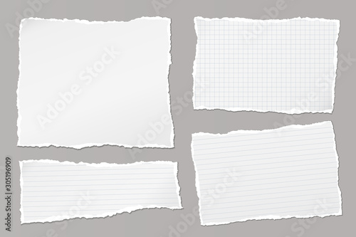 Set of torn white, lined and squared note, notebook paper pieces stuck on grey background. Vector illustration