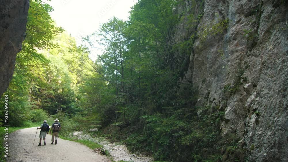 Two Old Men Walking Along Path Through Forest 4k Two Old Men Walking Along Path Through Forest 4k