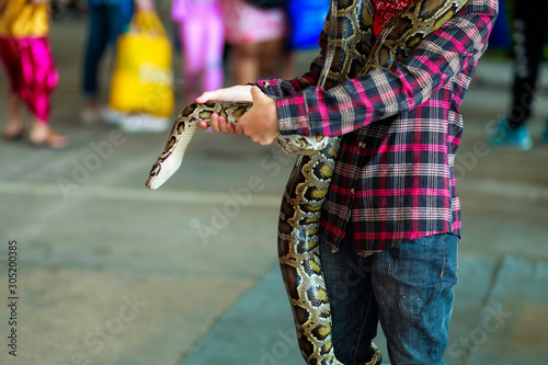 Close-up of boy's hands volunteer showing a snake to a child and letting her touch the snake Holding a royal Ball python