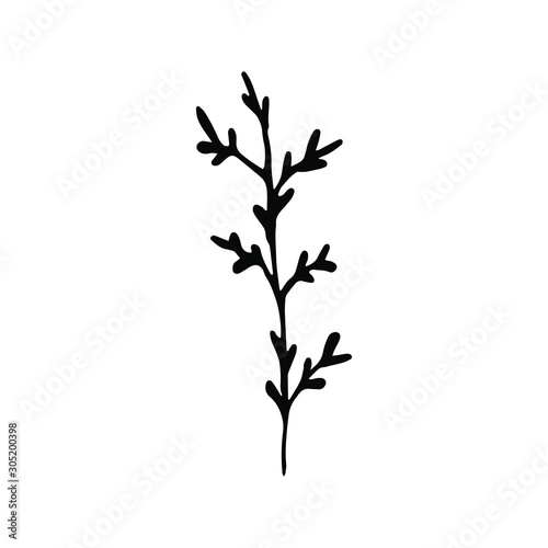 Hand drawn creative flower.  White background. Ink doodle illustration. Hand-drawn vintage  minimalistic black flower. Beautiful vector illustration.