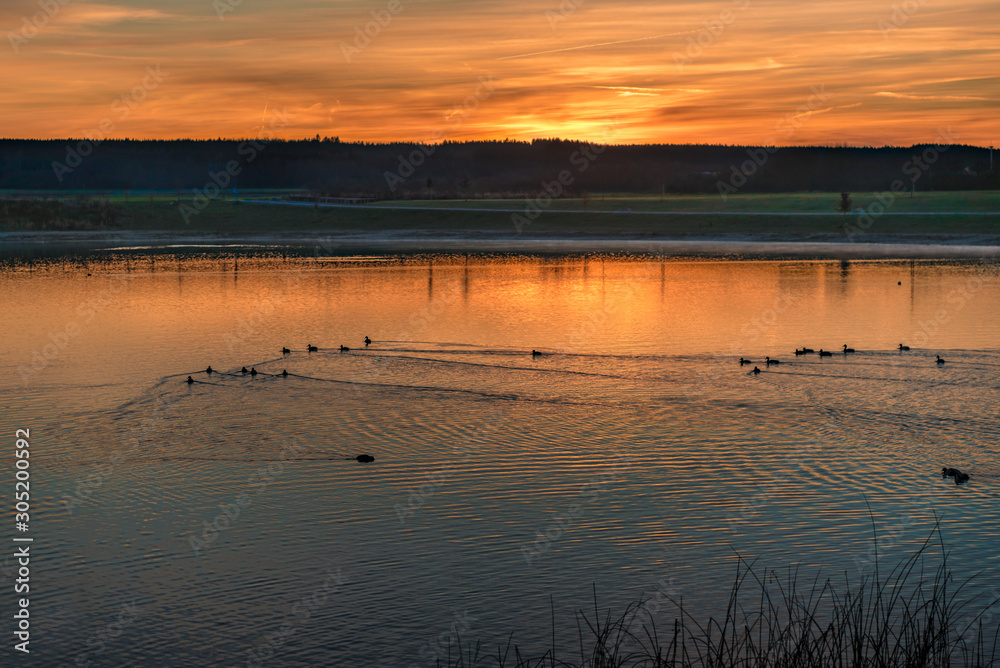 beautiful sunrise at a lake. Ducks swim in the water at dusk.