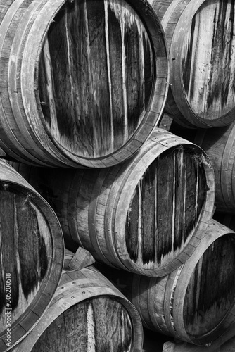 Canvas-taulu wine barrels in a cellar