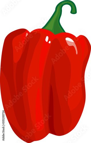Red sweet pepper isolated on white background