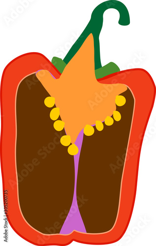 Scheme of internal structure of sweet pepper fruit cut in half