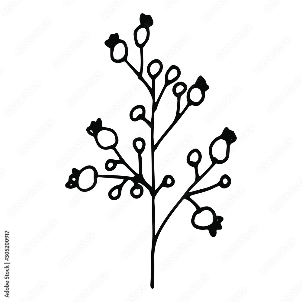 Hand drawn creative flower. White background. Ink doodle illustration. Hand-drawn vintage, minimalistic black flower. Beautiful vector illustration. Hand drawn creative flower. White background. Ink doodle illustration. Hand-drawn vintage, minimalistic black flower. Beautiful vector illustration.